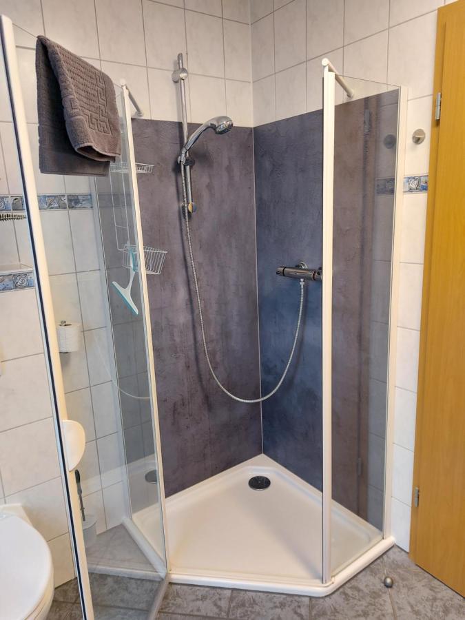 Ferienwohnung Fruehlingstrasse Mehlbach Екстериор снимка